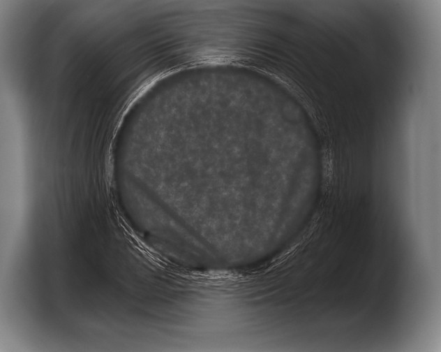 X0000103321023200810060950