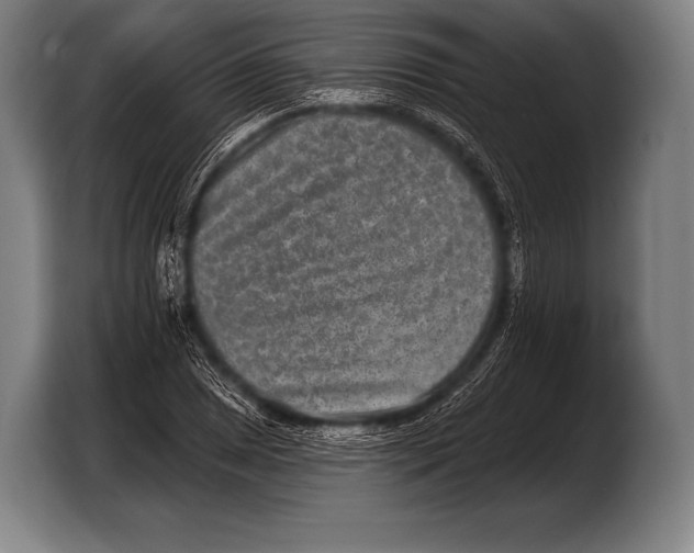 X0000103321025200810060950