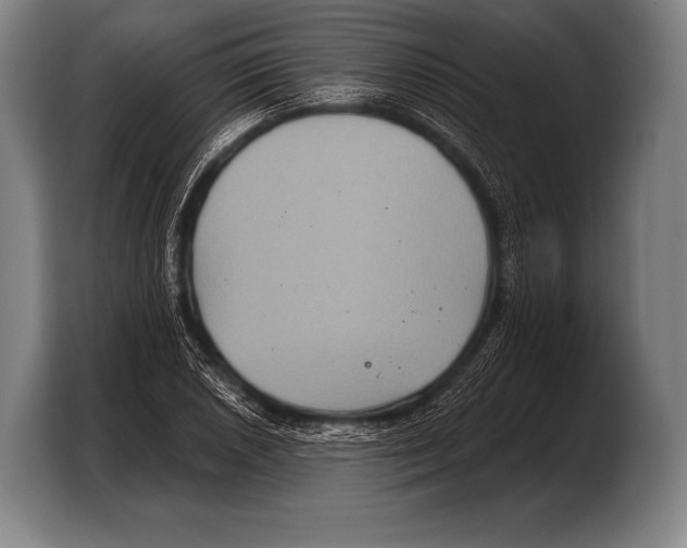 X0000103321026200810060950