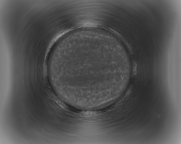 X0000103321027200810060950