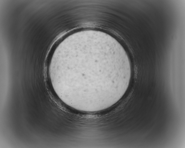 X0000103321029200810060950
