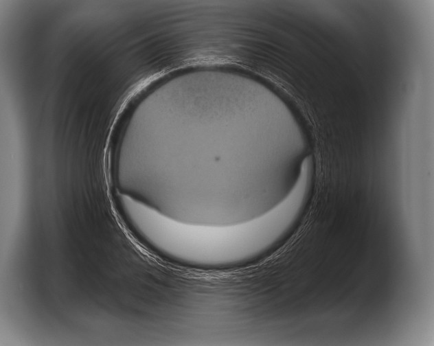 X0000103321030200810060950