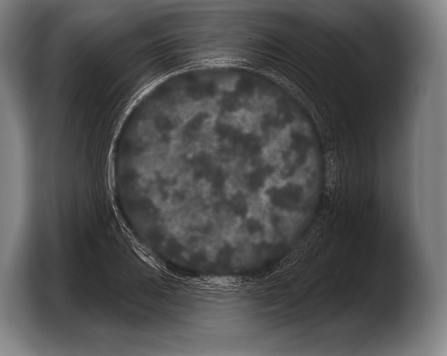 X0000103321031200810060950