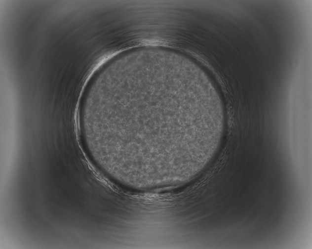 X0000103321032200810060950