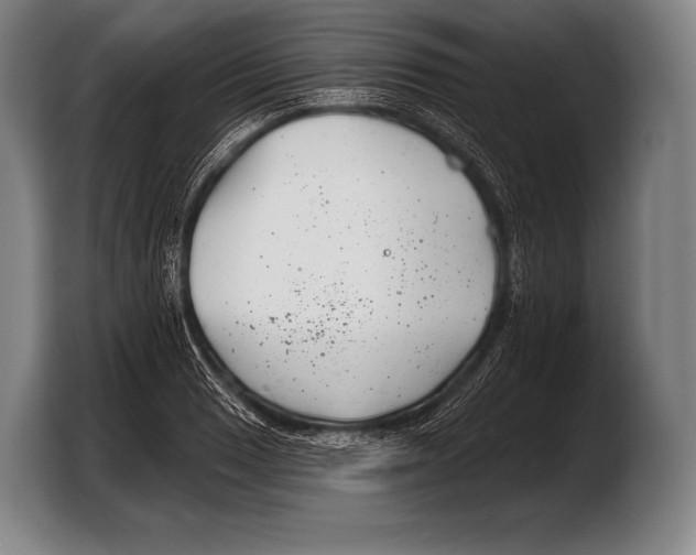 X0000103321033200810060950