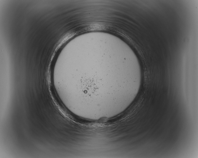 X0000103321034200810060950