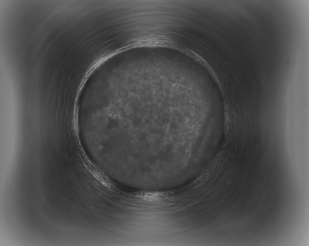 X0000103321035200810060950