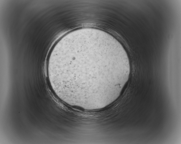 X0000103321036200810060950