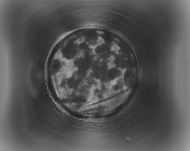 X0000103321037200810060950