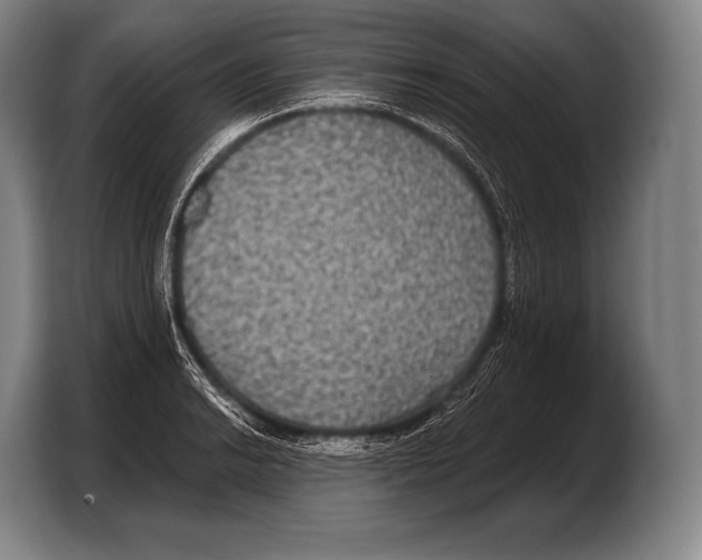 X0000103321038200810060950