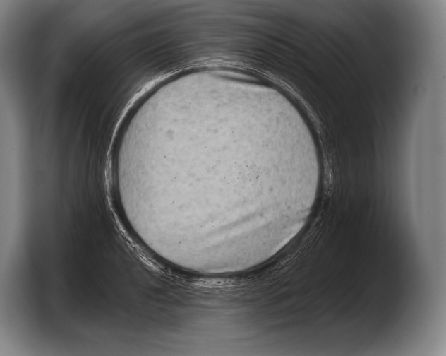 X0000103321040200810060951