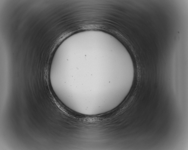 X0000103321041200810060951