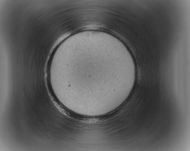 X0000103321042200810060951