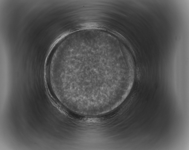 X0000103321043200810060951