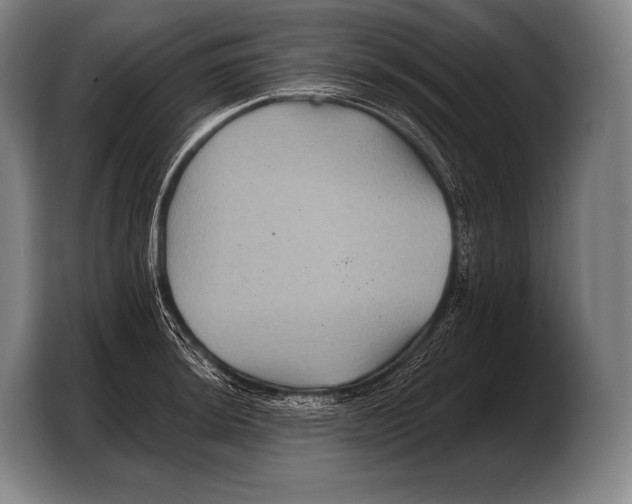 X0000103321044200810060951