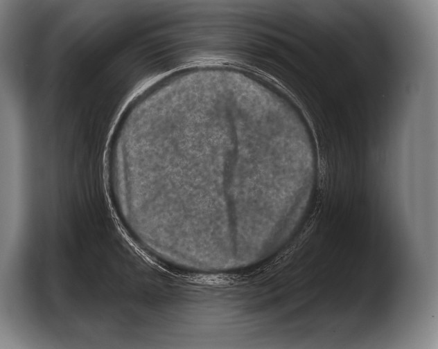 X0000103321045200810060951