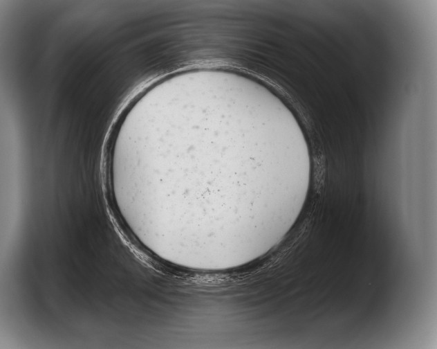 X0000103321046200810060951