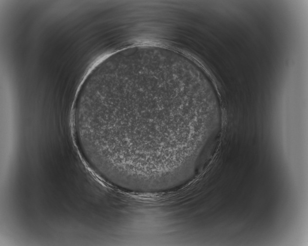 X0000103321048200810060951
