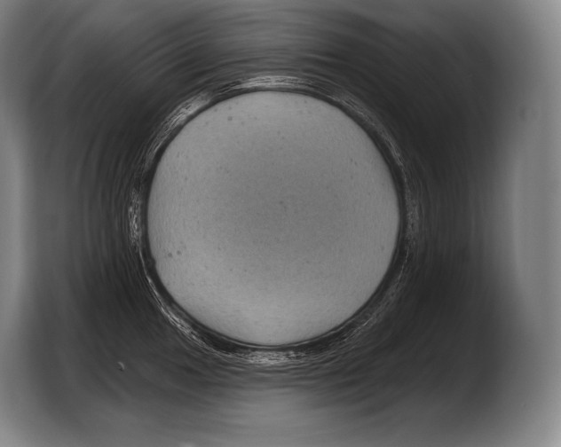X0000103321049200810060951