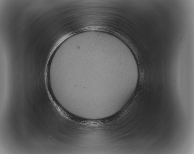 X0000103321050200810060951