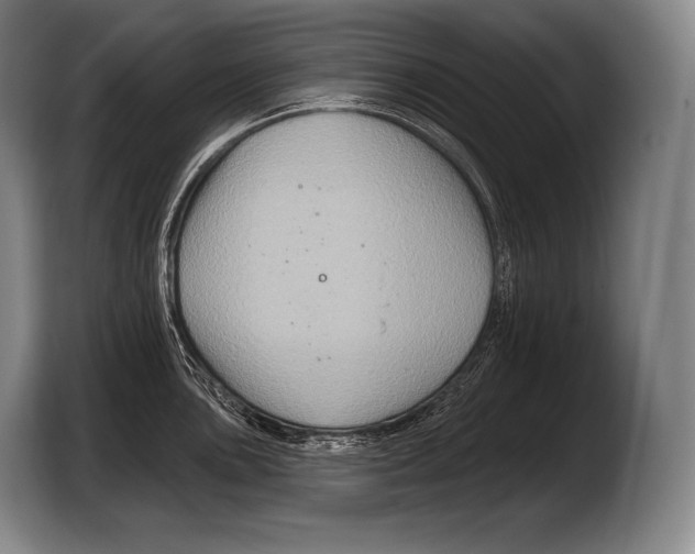 X0000103321051200810060951