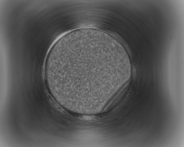 X0000103321052200810060951
