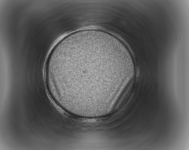 X0000103321054200810060951