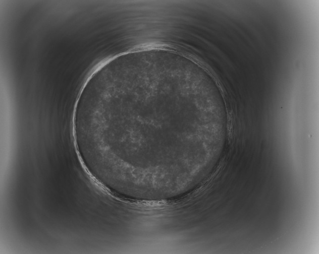 X0000103321055200810060951