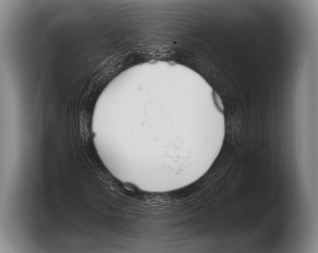 X0000103321058200810060950