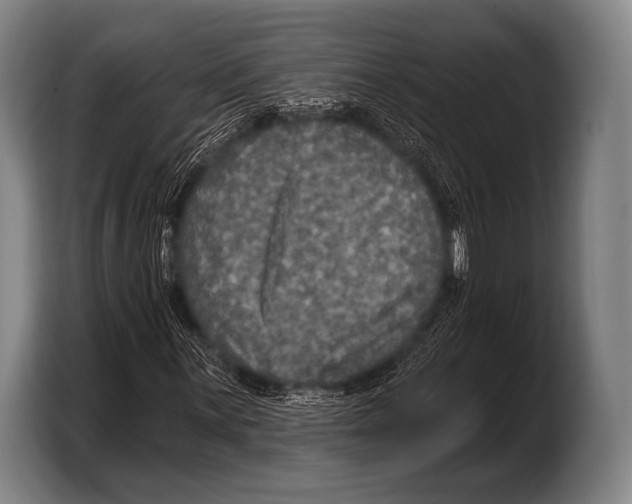 X0000103321059200810060950