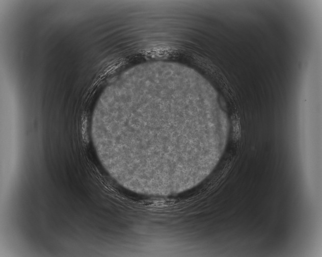 X0000103321060200810060950