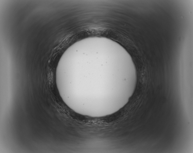 X0000103321061200810060950