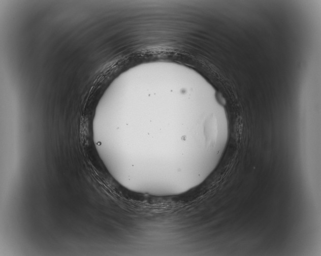 X0000103321062200810060950