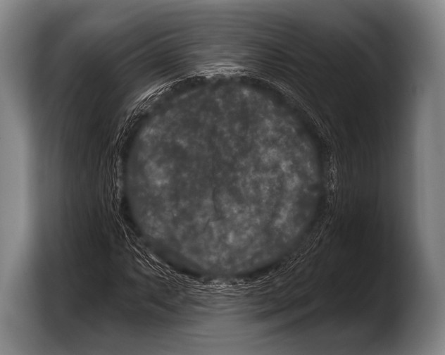 X0000103321063200810060950