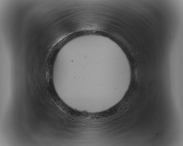 X0000103321064200810060950