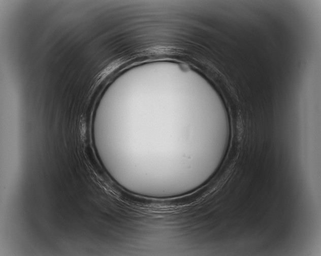 X0000103321065200810060950