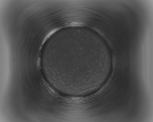 X0000103321066200810060950