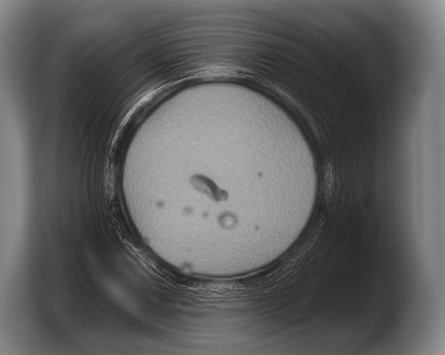 X0000103321067200810060950