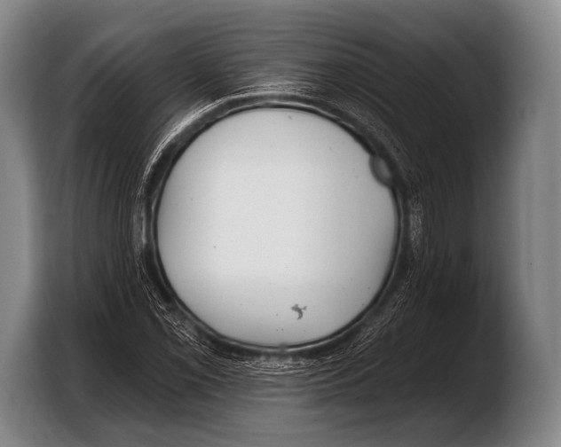 X0000103321069200810060950