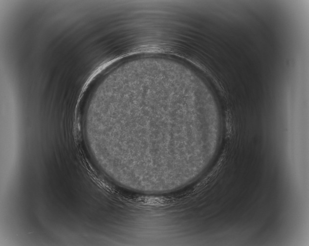 X0000103321070200810060950