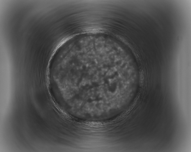 X0000103321071200810060950