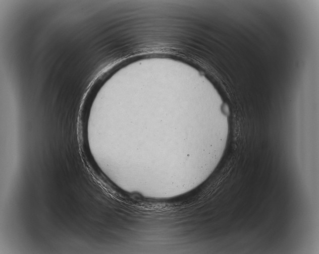 X0000103321072200810060950