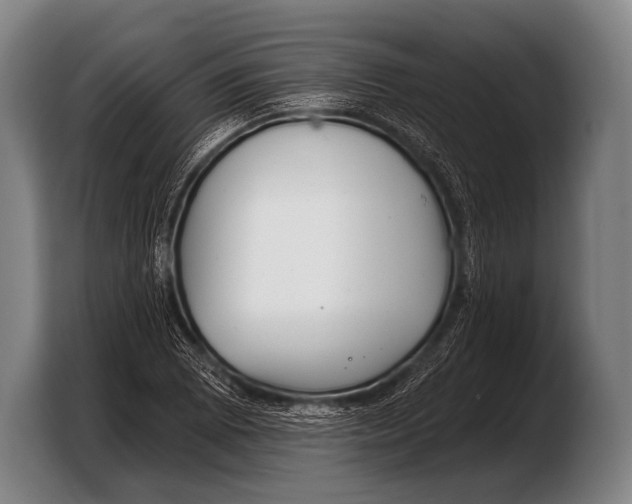 X0000103321073200810060950