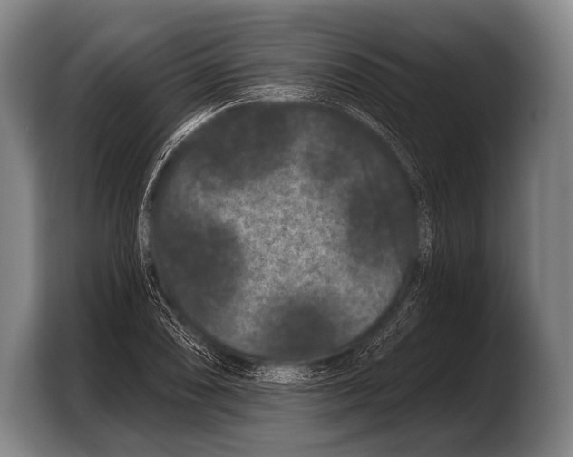 X0000103321074200810060950