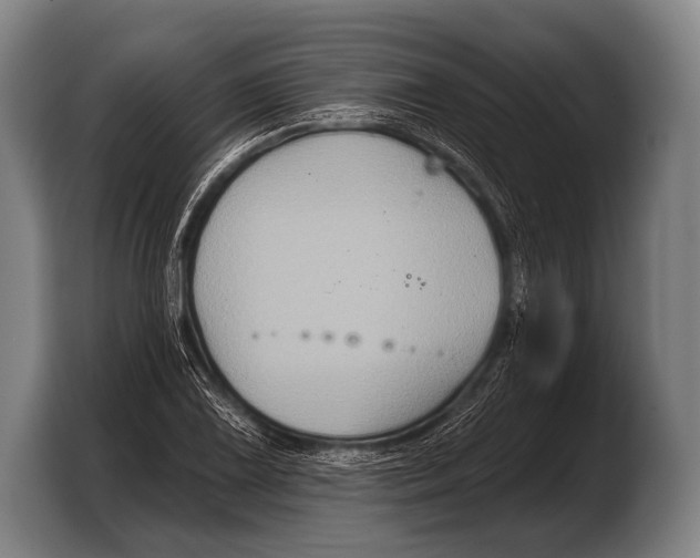 X0000103321075200810060950