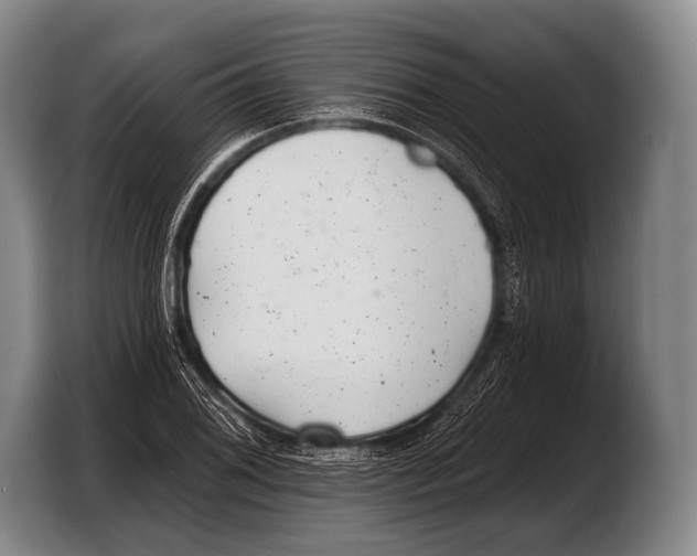 X0000103321076200810060950