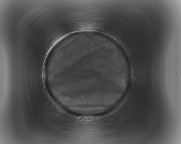 X0000103321077200810060950
