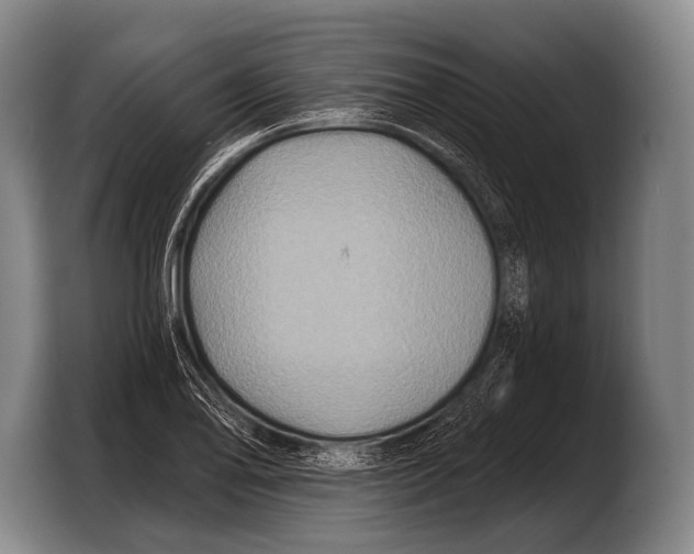 X0000103321078200810060950