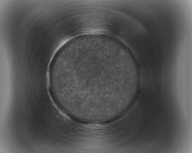 X0000103321079200810060950