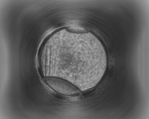 X0000103321080200810060950